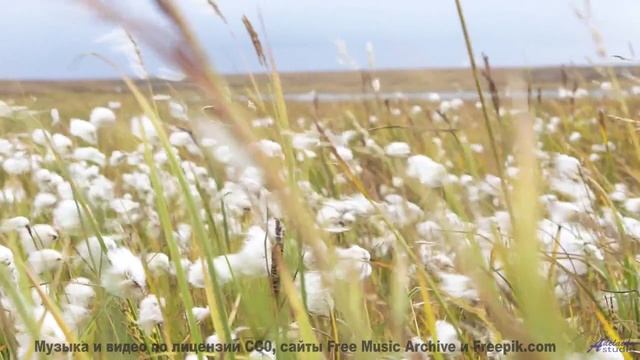 Этот клип - как обещание счастья, которое сбывается! - Protecting My Soul -- Kirk Osamayo -- Season