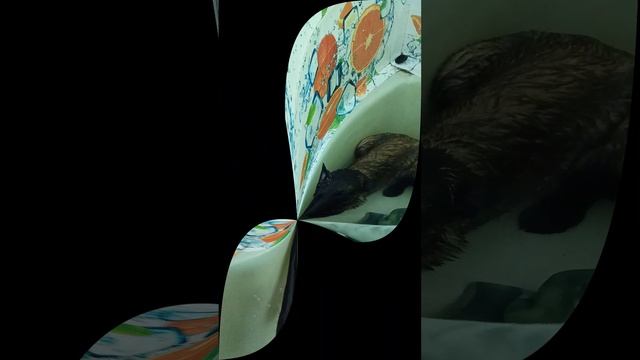 После трудового дня мыться надобно друзья!