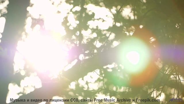 Музыка звучит так, что хочется раствориться в природе - Clear Progress -- Scott Holmes Music -- Corp