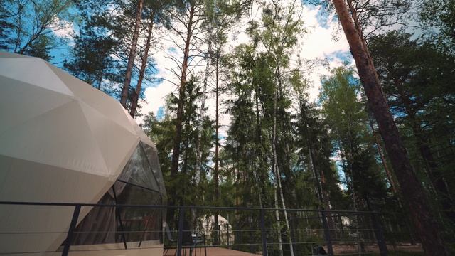Вудлэнд лето 30 сек (4к)