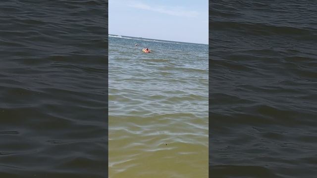 Тёплое Азовское море в станице Голубицкая манит вернуться суда снова