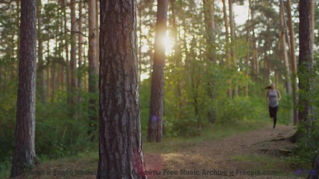 Включите этот трек - и пусть тело движется в ритме любви! - Fireflies -- Ketsa -- Growth