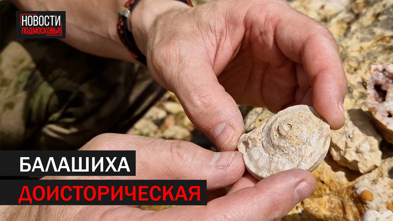 Вместе с палеонтологом отправились на поиски древностей в русавкинский карьер