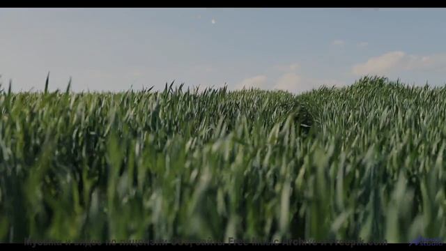 Звуки, очищающие душу - вы не готовы к этому опыту! - Hungry Eyes -- Small Tall Order -- Easily