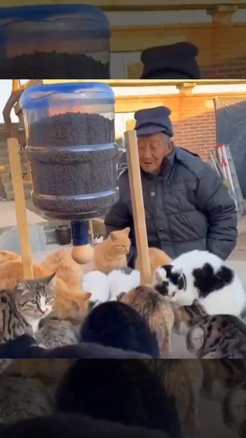 Вот какая кормушка для котеек 👍🐈❤️😻