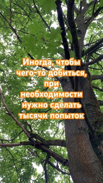 Необходимость