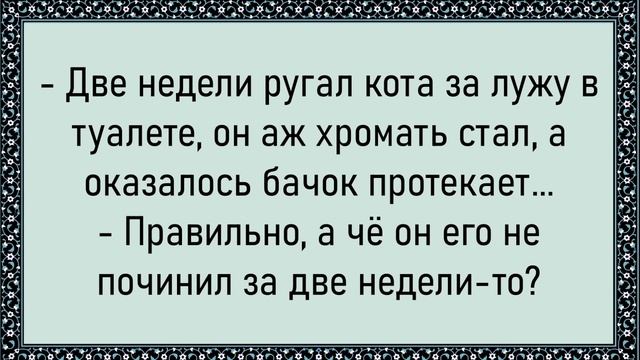 Хороший фотоаппарат Красивые фото - анекдоты #25 😂😂😂