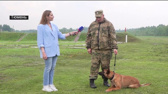 Кинологи из разных регионов страны соревнуются в Тюмени