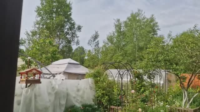 Мои помощники. Поездка в грозу. У нас появился двойник. Построили новый дом. Жизнь семьи в деревне.