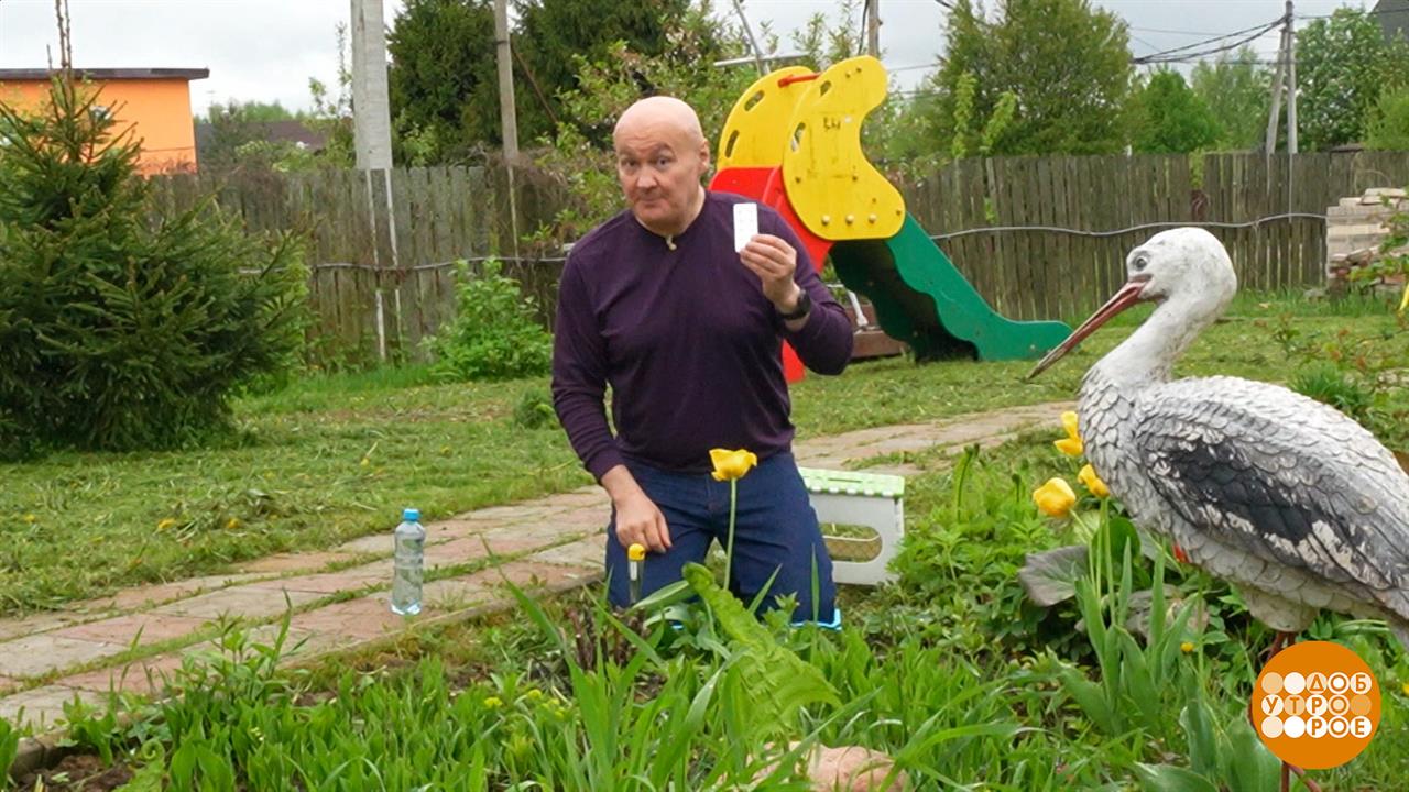 Если на даче прихватило сердце... Доброе утро. Фрагмент выпуска от 18.06.2025