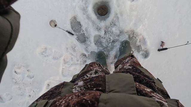ЗИМНЯЯ РЫБАЛКА НА ХИЩНИКА