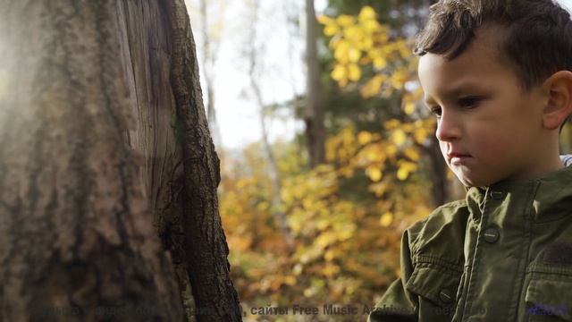 Пейзажи и ритм вместе стирают границы - Happy Birthday -- Scott Holmes Music -- Happy Background Mus