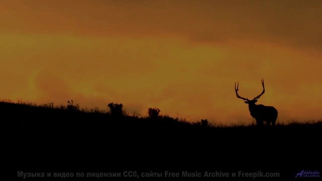 Звуки природы + идеальная музыка = ваш побег от реальности! - Origins -- Lex Villena -- Unnamed albu