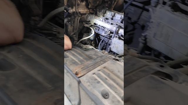 заехала Скания на замену форсунок 🧑🔧