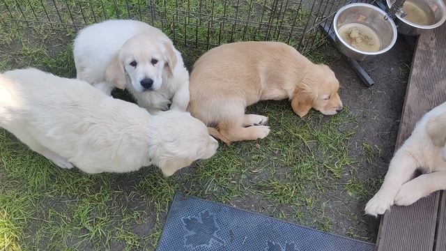 артурка VID_20250614_125717