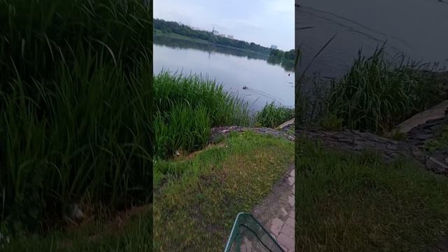 1000020318.mp4