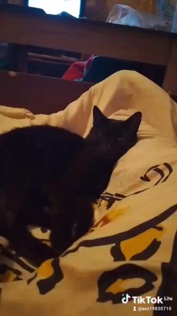 1000000807.mp4