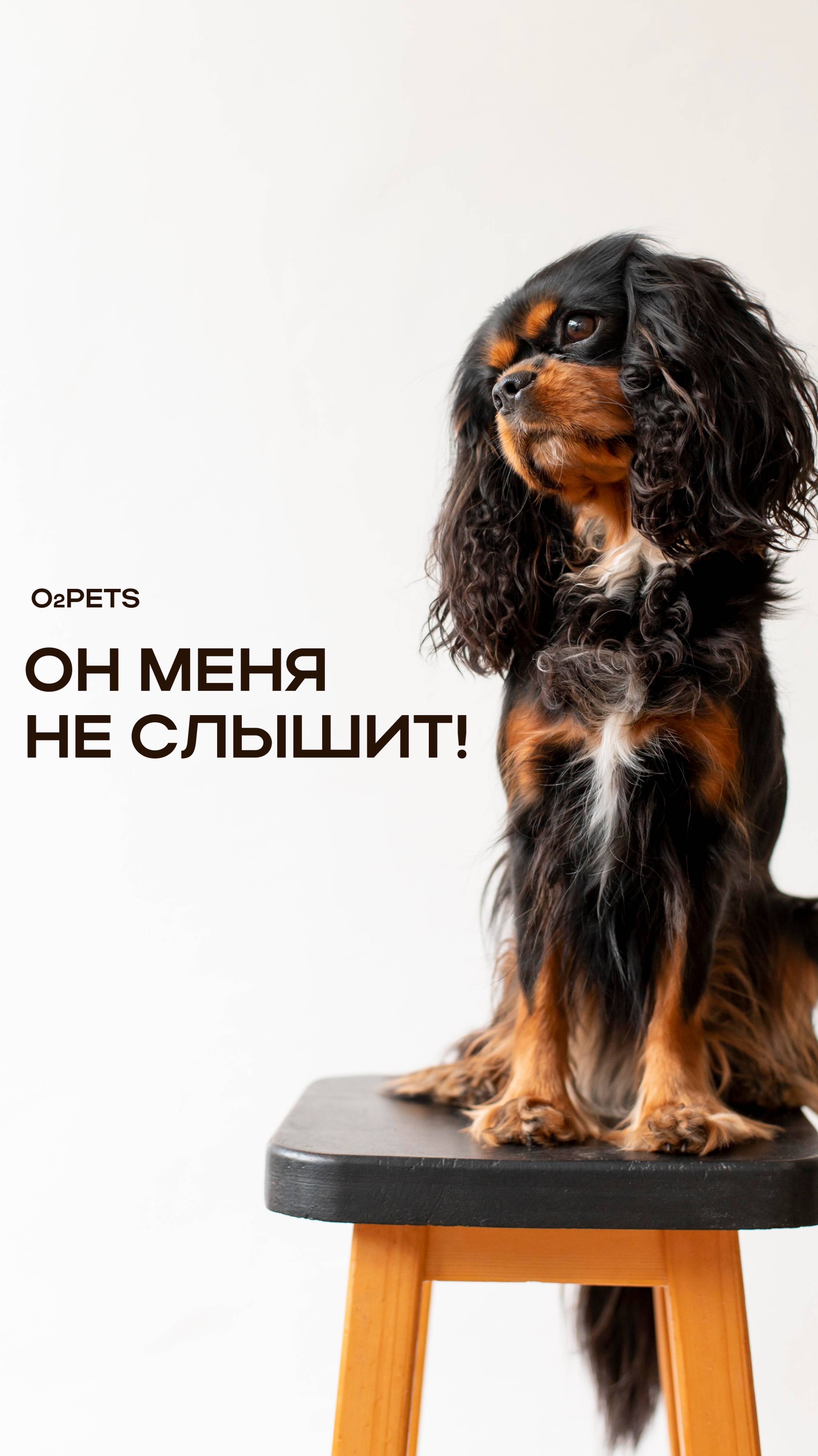 Он меня не слышит!