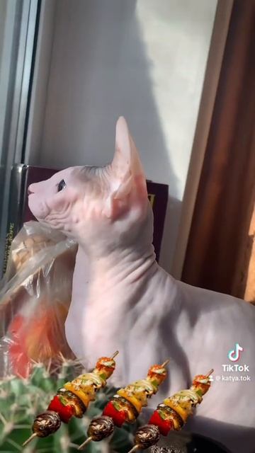 22 сентября 2023 г.