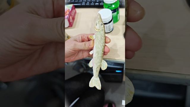 Quick painting of pike figurine #paintingtutorial #fishart #handmadethings #crafttutorial