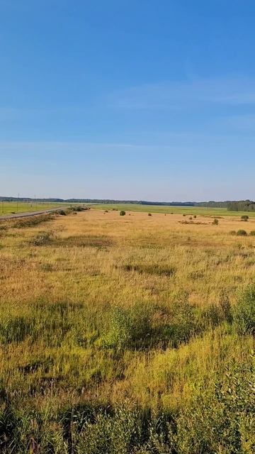 Отель Авиатор. Вид из окна. Ленинградская область. Июль 2024г (Часть 2)