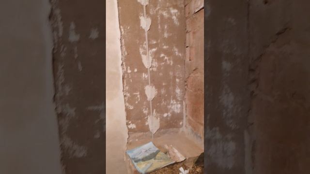 1000020799.mp4