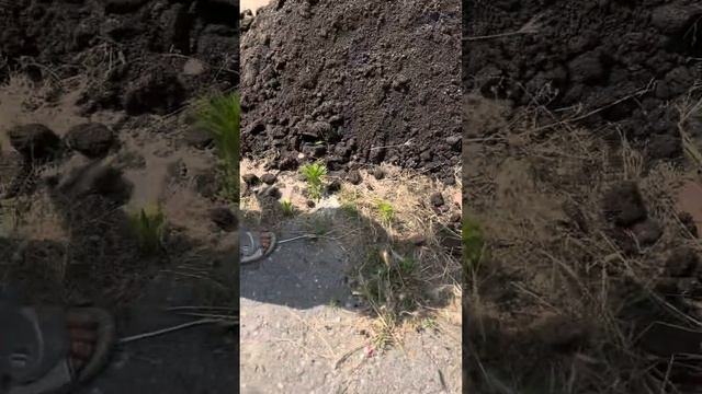Куда девать землю? Делаем грядки «по-быстрому»!