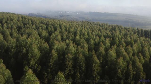 Видел мир А под эту музыку - точно нет - A Quiet Day -- Kirk Osamayo -- Season Two (GREEN)