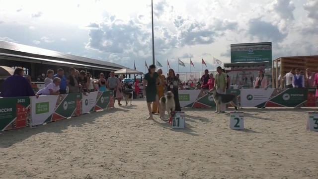 Русская Легенда Огненная Птица