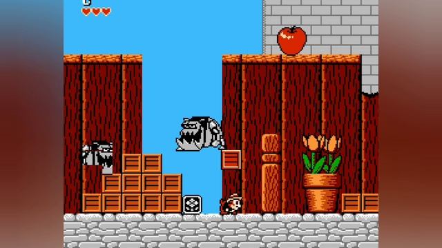 Chip n Dale Dendy