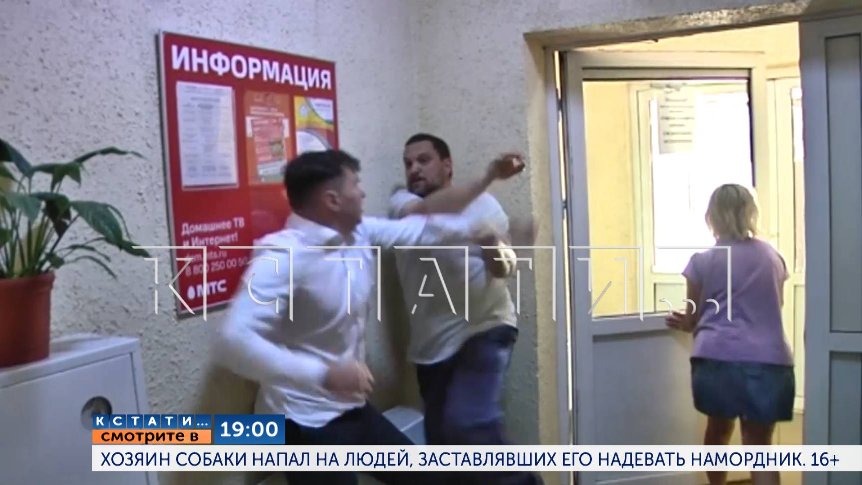 В 19.00 в программе "Кстати": Хозяин собаки напал на людей, заставлявших его надевать намордник