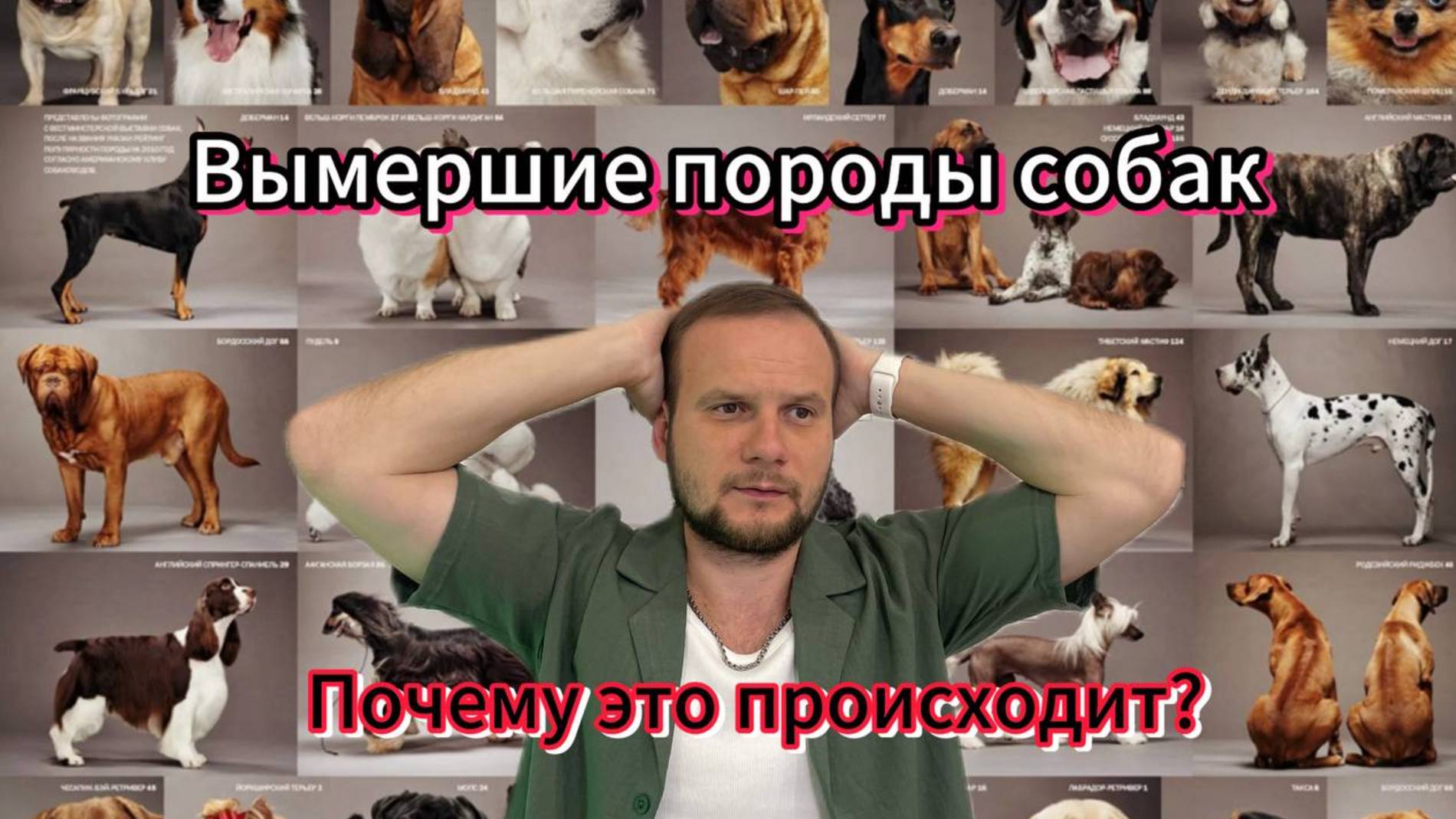 Вымершие породы собак!
Почему это происходит и как остановить?