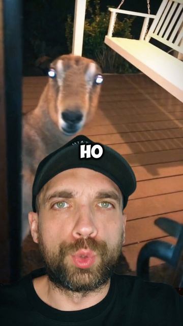 Это настоящие Скинволкеры #скинволкер #жуть #zloered