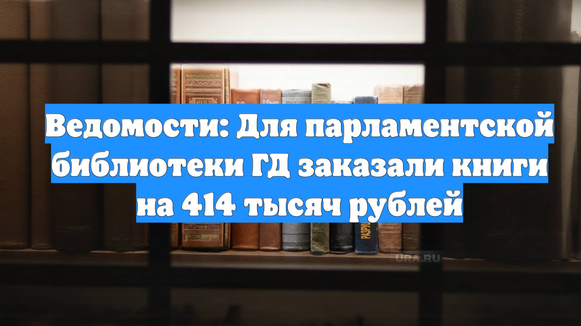 Ведомости: Для парламентской библиотеки ГД заказали книги на 414 тысяч рублей