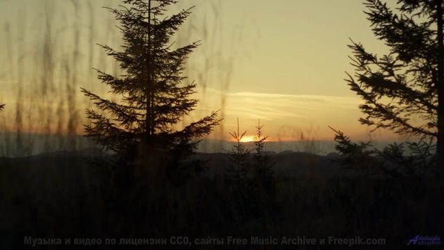 Включите и почувствуйте, как границы исчезают! - Worlds Greatest Dancer -- PLANET WARDO -- PLANET WA