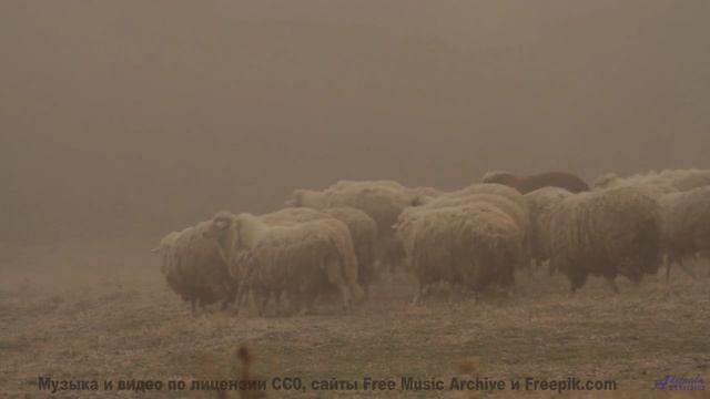 Музыка, которая нарушает законы физики - как это возможно - Game On -- Soft and Furious -- Bae