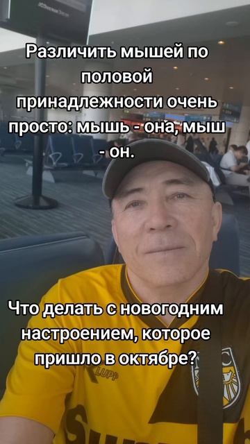 Юмор