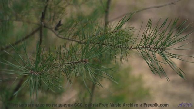 Остановитесь и услышьте это! - Unfound -- Sea Offs -- Whats The Point