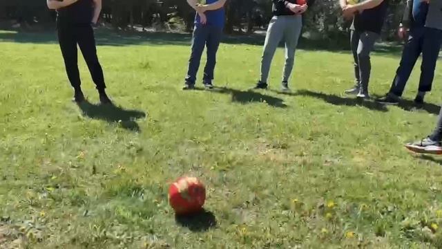3981862021633146317