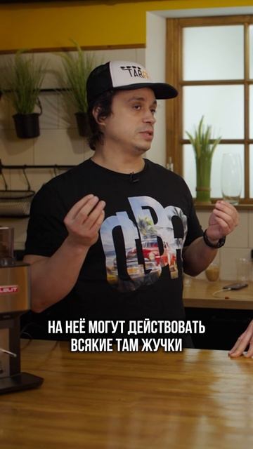 ПОЧЕМУ ЭТОТ СОРТ КОФЕ НЕНАВИДЯТ ВСЕ? ЧТО ТАКОЕ РОБУСТА?