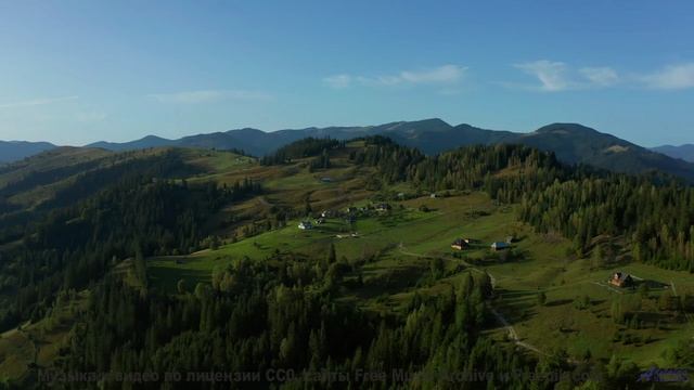 Кадры проваливаются прямо в сердце вместе с мелодией - Just Because Youre Paranoid -- Duncan Reid an