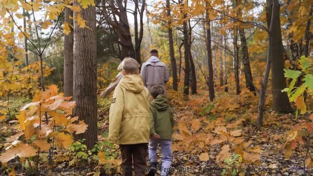 Мелодия, делающая даже дождь за окном машины романтичным - This Is What We Live For -- SUPERARE -- I