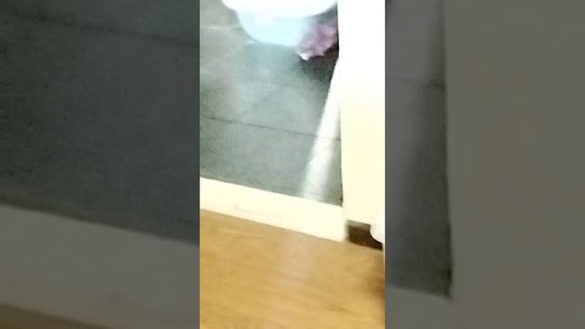 Читос раздурился по полной