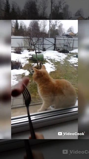 ...ХАХХАХАХАХХАХАХ
