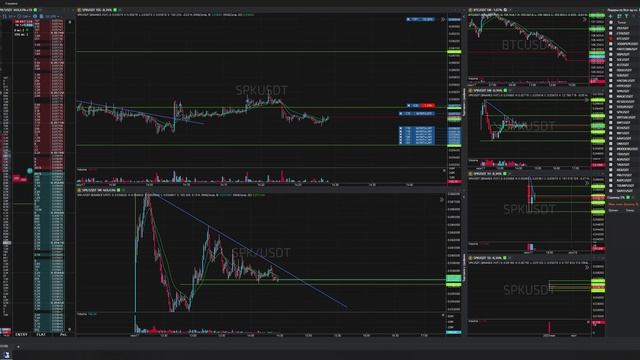 9-Skpusdt-Long-Profit-17-06-2025-14-09-15