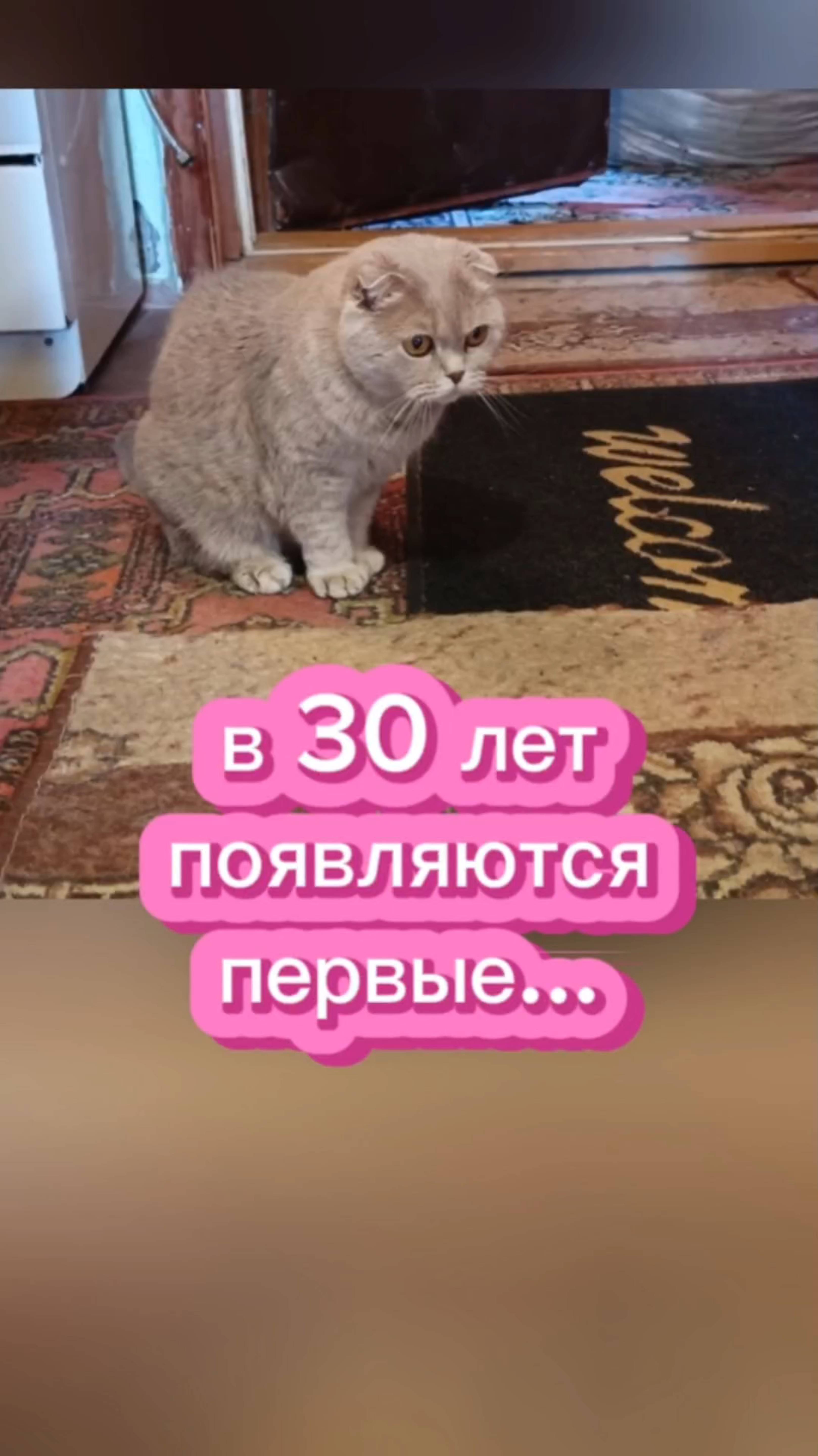 В 30 лет появляются первые... 😂 Кошки с озвучкой