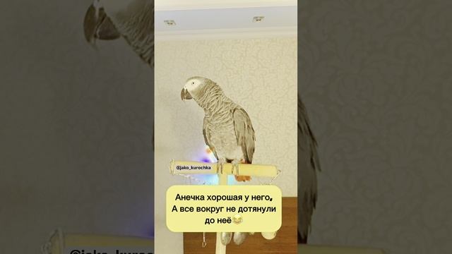 Валера зовет Настю😁