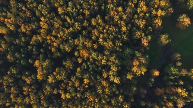 Эта музыка звучит как обещание новых приключений вдвоём - Sun Hope -- Ketsa -- 5D