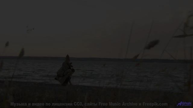 Это место создано для любви - а эта музыка станет вашим саундтреком! - Wayside -- Renata Zeiguer --