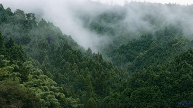 Музыка, от которой мурашки бегут по коже - это невероятно! - Chronicle -- Ketsa -- Metaphysics